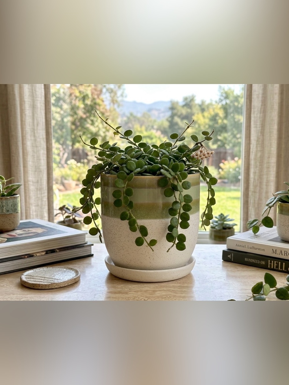 Striped Ceramic Planter with Drainage and Attached Saucer | Handmade Pottery Pot